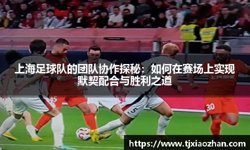 6163银河net163